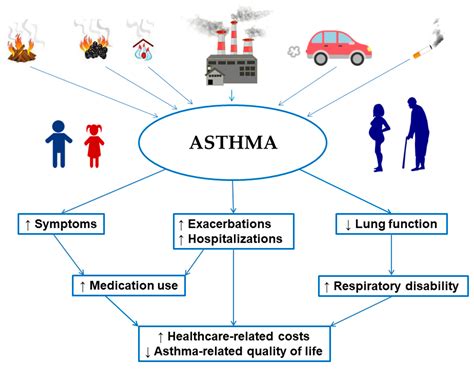 What Environmental Factors Cause Asthma
